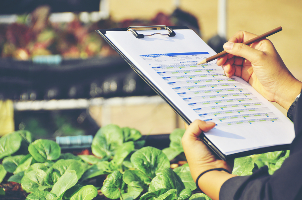 how the certification systems work
