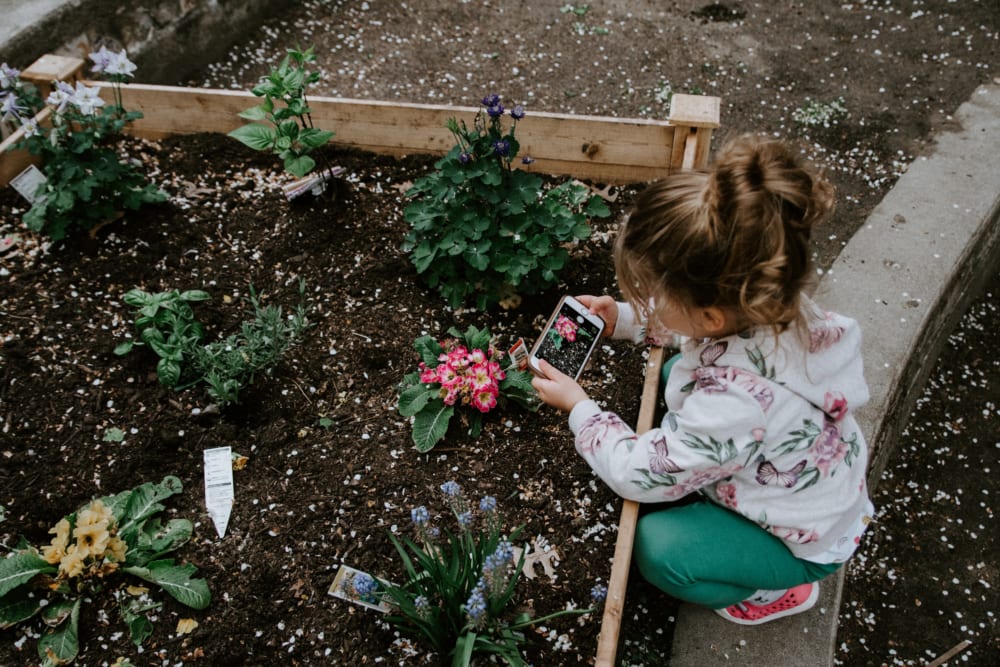 まとめ 家庭菜園を始めるための世界のアイデア 世界のソーシャルグッドなアイデアマガジン Ideas For Good