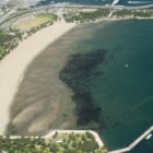 海を守り、地域を潤す。横浜市のサステナブルな循環型事業「横浜ブルーカーボン」