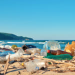 海洋プラスチック問題 width=