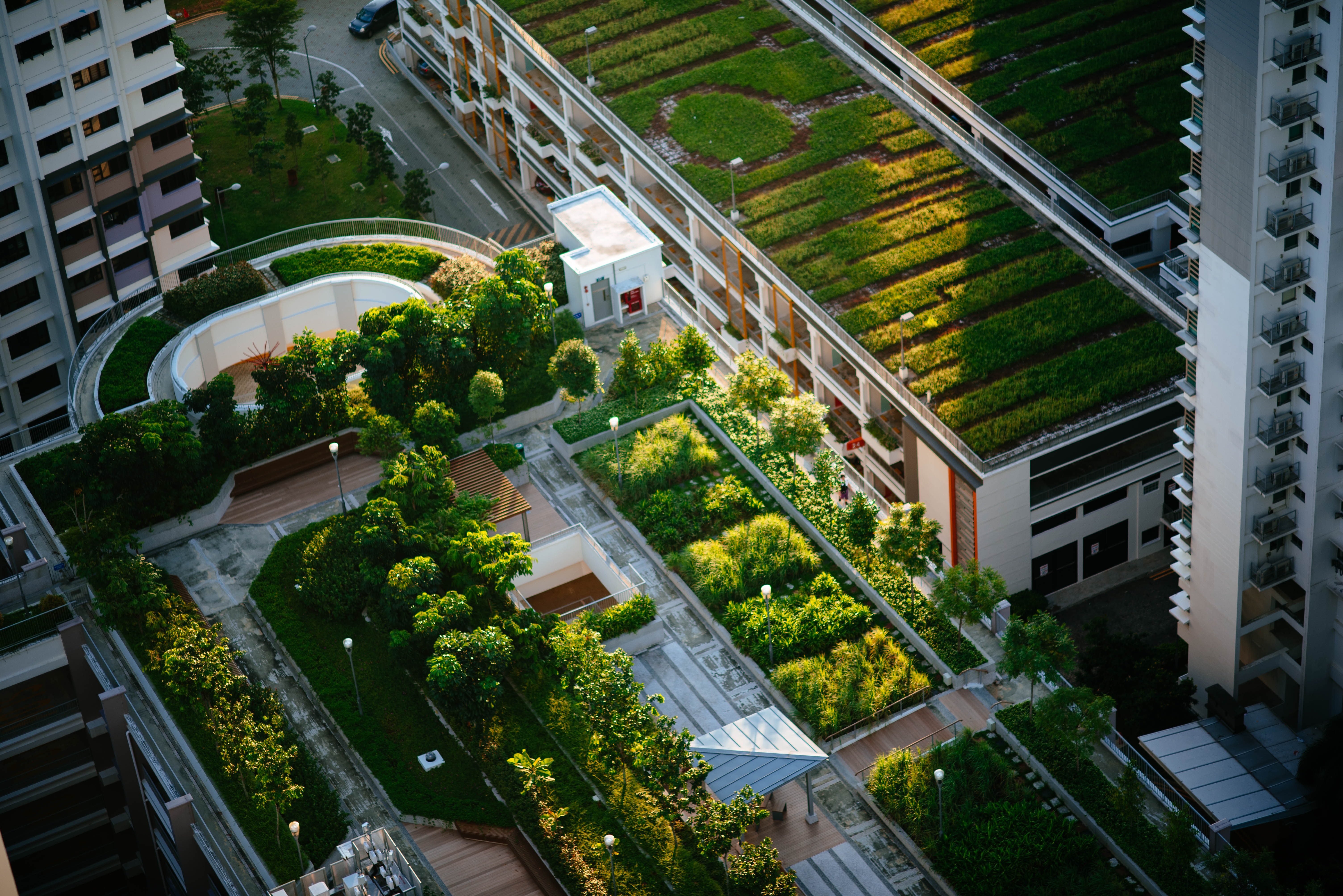 Urban green