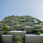 サステナブルな建築アイデア7選【2020年まとめ】 width=