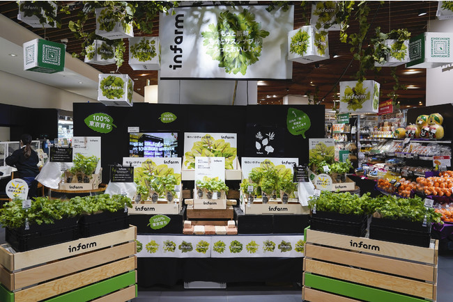 ドイツ発、スーパー店内で野菜を育てる垂直農業テック「Infarm」