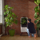 部屋の空気を浄化する、水耕栽培のスマートガーデン「Respira」