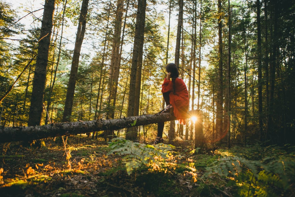 森林破壊を止める。世界の森にテレポートできる、デジタル森林浴ラジオ「tree.fm」