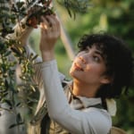 人・生物・土壌の関係を捉え直す。リジェネラティブ農業の事例3選 width=