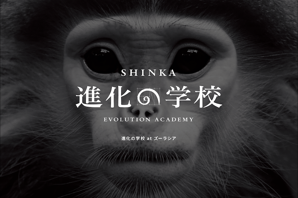 生物進化の歴史から思考法を学ぶ。進化思考が導くこれからのイノベーションとは【イベントレポート】