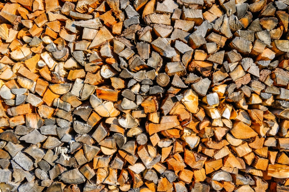 biomass