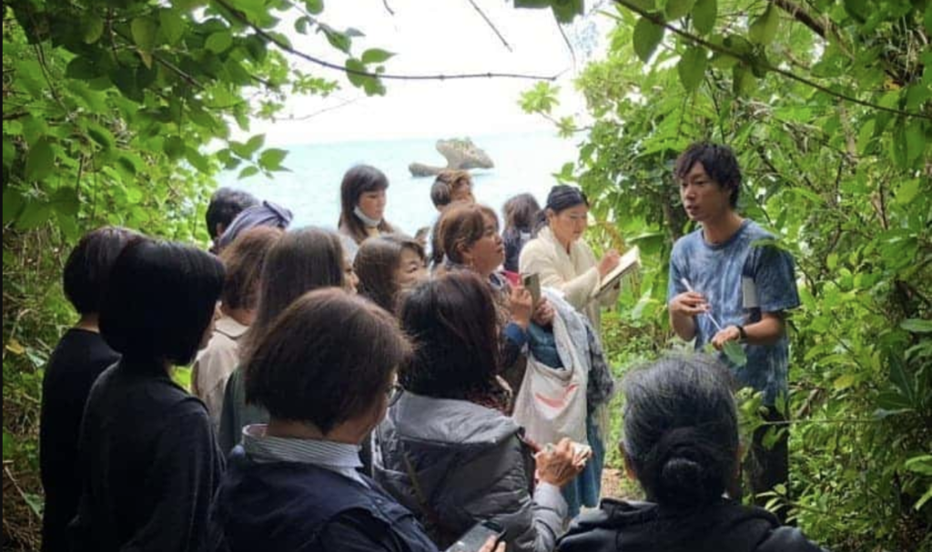 知ることで、守れる。植物研究家が伝える「野草」の魅力