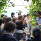 知ることで、守れる。植物研究家が伝える「野草」の魅力