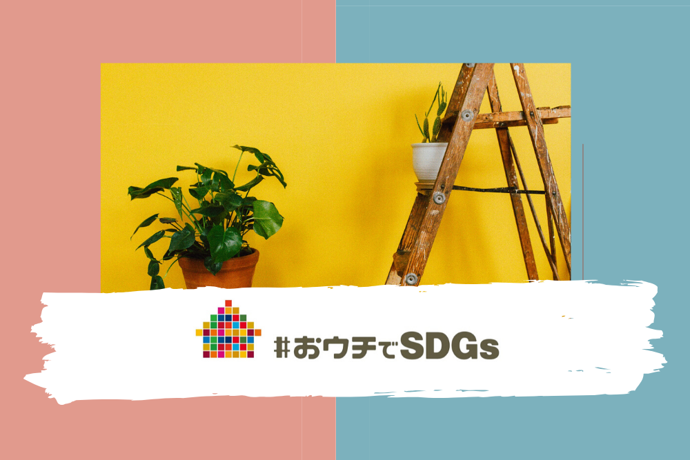 サイハテ×IDEAS FOR GOOD特別企画！自宅でサステナビリティを実施する「おウチでSDGs」