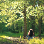 Ecological Memes “Journey of Regeneration” - リジェネレーションの旅、はじまります。 width=
