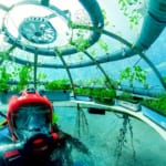 “海育ち”のレタスを食べる日が来る？世界初、食の供給を助ける「水中菜園」 width=
