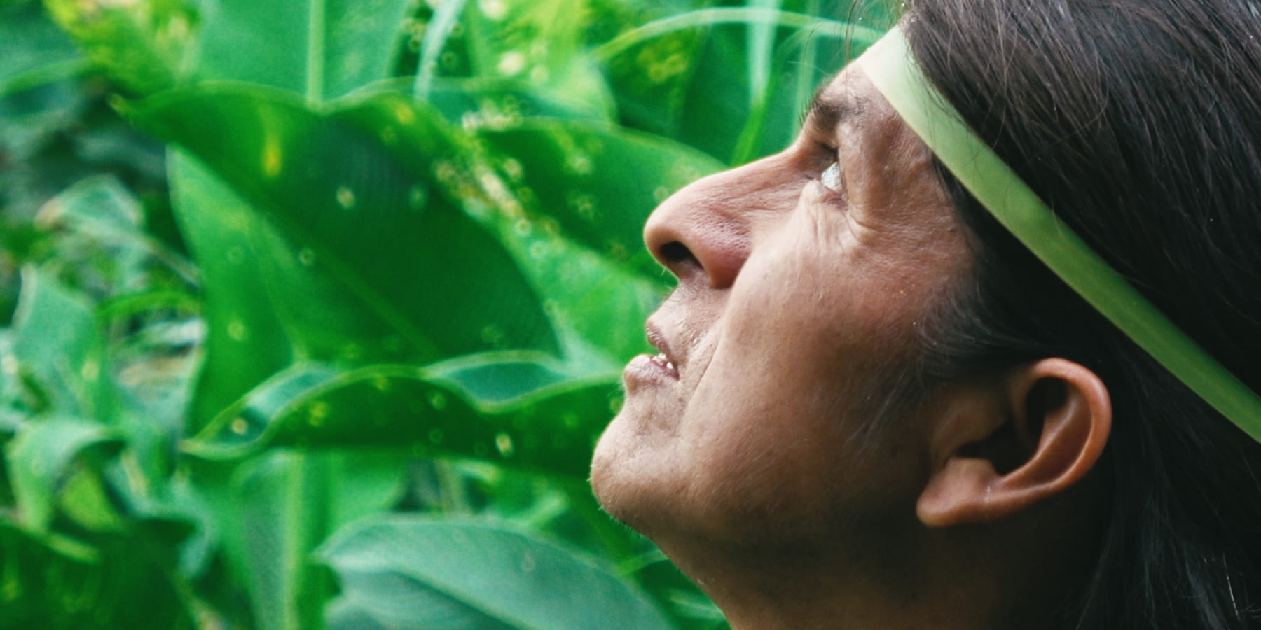 アマゾン先住民族の「ありのまま」の姿を映し出す、映画「カナルタ」