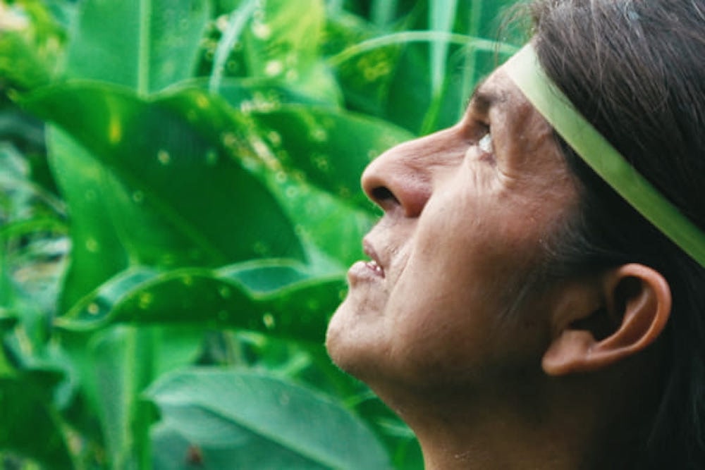 アマゾン先住民族の「ありのまま」の姿を映し出す。映画『カナルタ』監督インタビュー