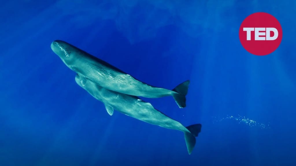 持続可能な開発の先にある「リジェネラティブ開発」とは？繁栄をもたらす新しいナラティブ