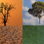 IPCC（気候変動に関する政府間パネル）とは・意味 width=