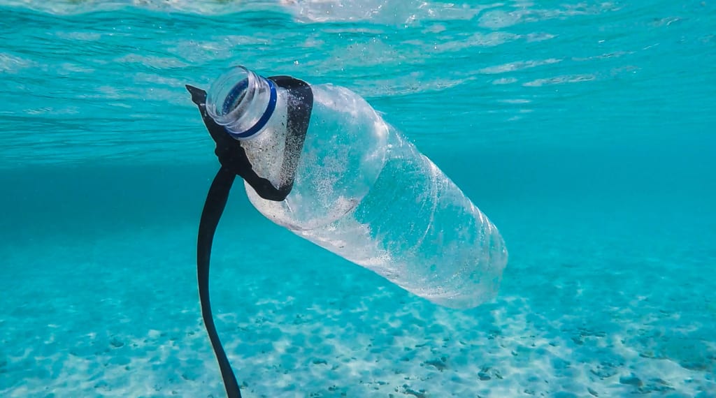 プラスチックを食べる細菌、世界中で出現。ごみ問題の救世主となるか