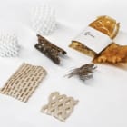 プラスチックを食べる幼虫、ついに「未来の包装材」に変身へ