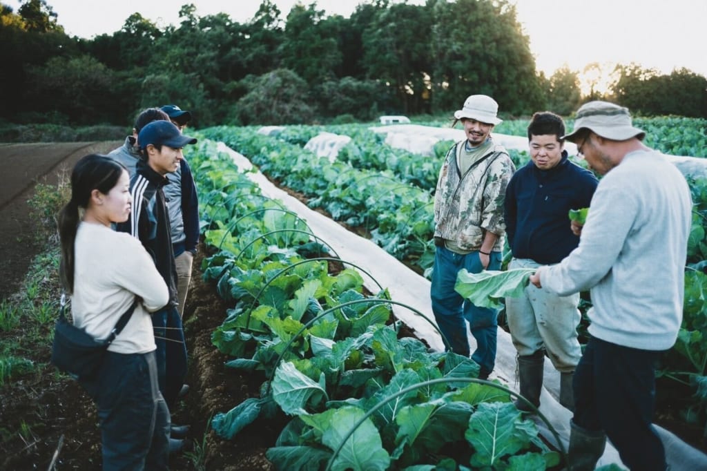 料理は畑から始まっている。野菜のためにエゴを捨てたレストラン「WE ARE THE FARM」【FOOD MADE GOOD #14】