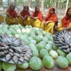 9,000万人が視聴。バングラデシュの「料理動画」が地域をよくする理由