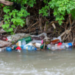 オーシャンバウンド・プラスチックとは・意味 width=