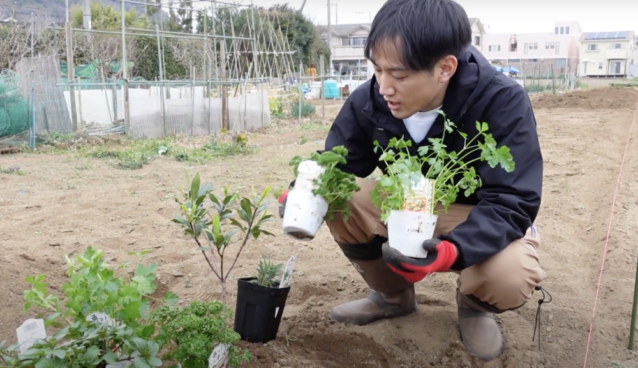 シネコカルチャー　太田さん