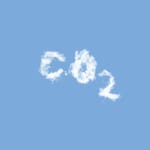 カーボンシンクとは・意味 width=