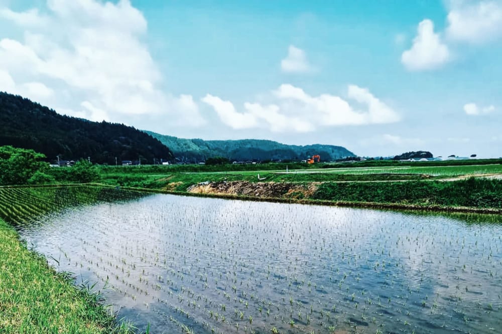 能登半島