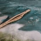 海洋生態系を回復させる埋葬？遺灰とカキ殻でつくる人工岩礁