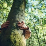 SBTs for Nature（Science-Based Targets for Nature）とは？・意味 width=