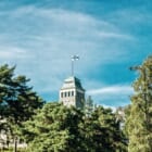 フィンランドに学ぶ、森林資源の「サーキュラー」な使い方