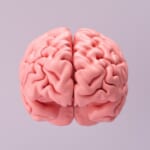 ニューロセクシズムとは・意味 width=