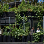 オーストラリア第二の都市で自給自足＆ゼロウェイストを実現する住宅「Future Food System」 width=