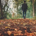 自然の権利とは・意味 width=