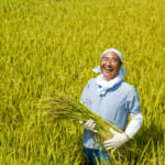 地方と都市をかきまぜ、「作る人」と「食べる人」をつなげる「雨風太陽」【高校生が出会ったサステナ企業・団体】 width=