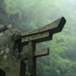 アニミズムとは・意味 width=