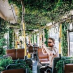 ベルギーの路面電車が、「動く庭園」になった理由 width=