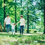 2024年に始まる森林環境税とは？税の背景や使い道、問題点を解説 width=