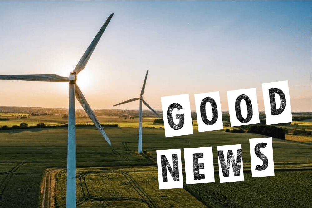 【2024年2月】EUの風力発電量が、天然ガスを超える。グッドニュース5選