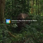 「今日はスマトラサイの“絶滅予定日“です」動物の危機を通知するGoogleカレンダー