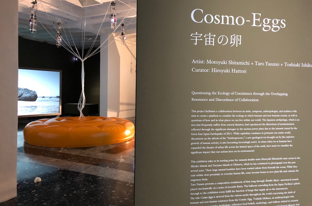 ヴェネチア・ビエンナーレ国際美術展の日本館で展示された作品
