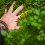 生態経済学（Ecological economics）とは・意味　 width=