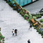「草花」が、歩きたくなるまちのリズムをつくる。都市デザインにおける植物の重要性 width=