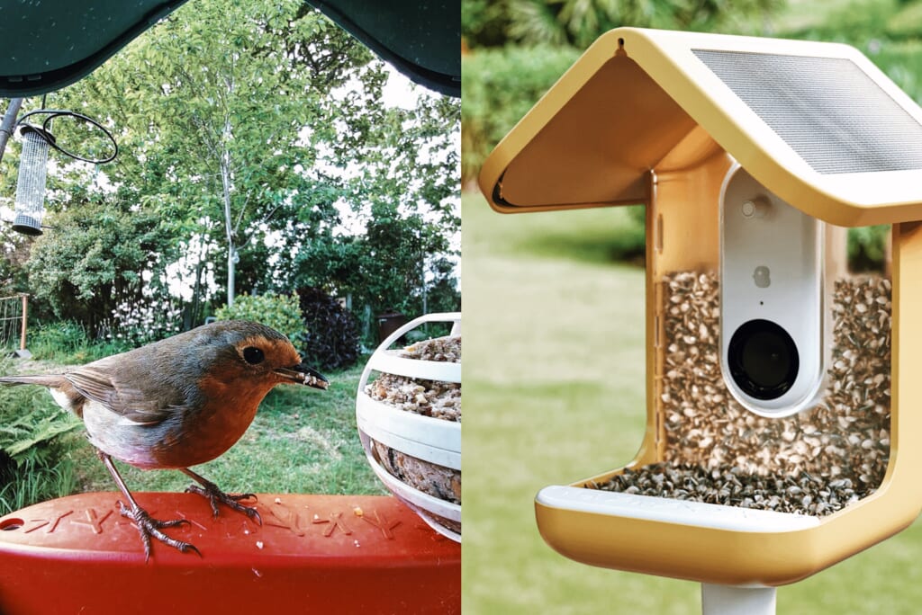 「ボブおかえり」名付けた野鳥の帰りを知らせる、AIスマート餌台