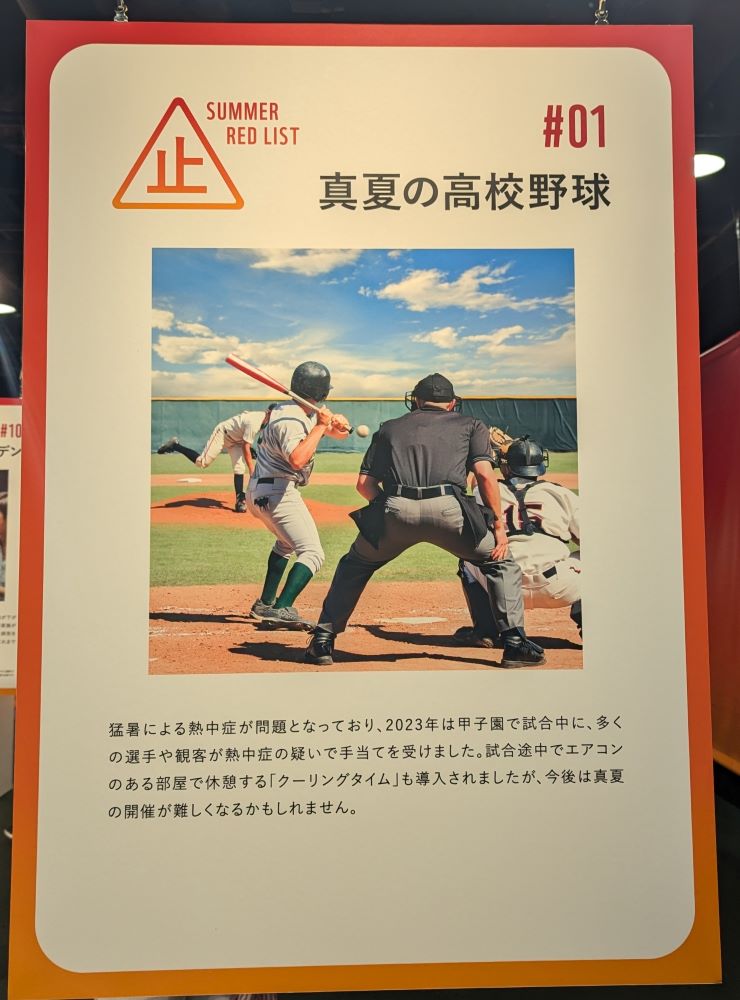 高校野球