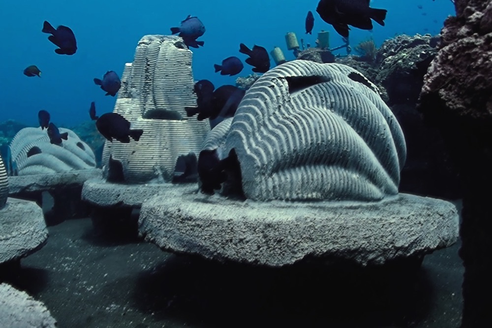ペットの遺灰を人工サンゴ礁に。大事な家族を“大きな命の営み”のなかに
