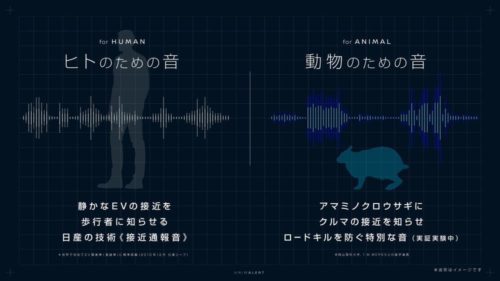 アマミノクロウサギが聞こえる高周波数の音を研究