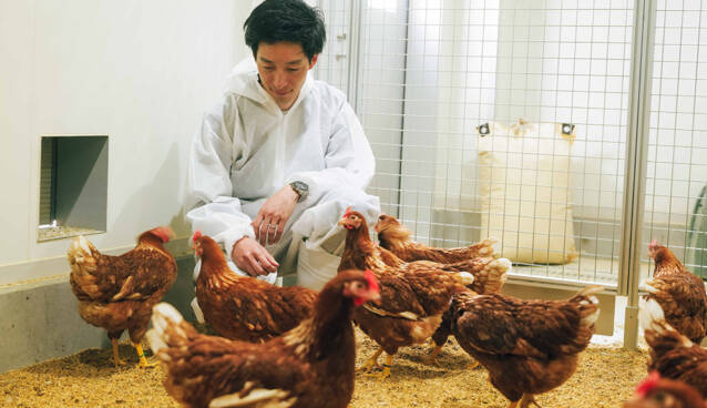 新村先生と鶏
