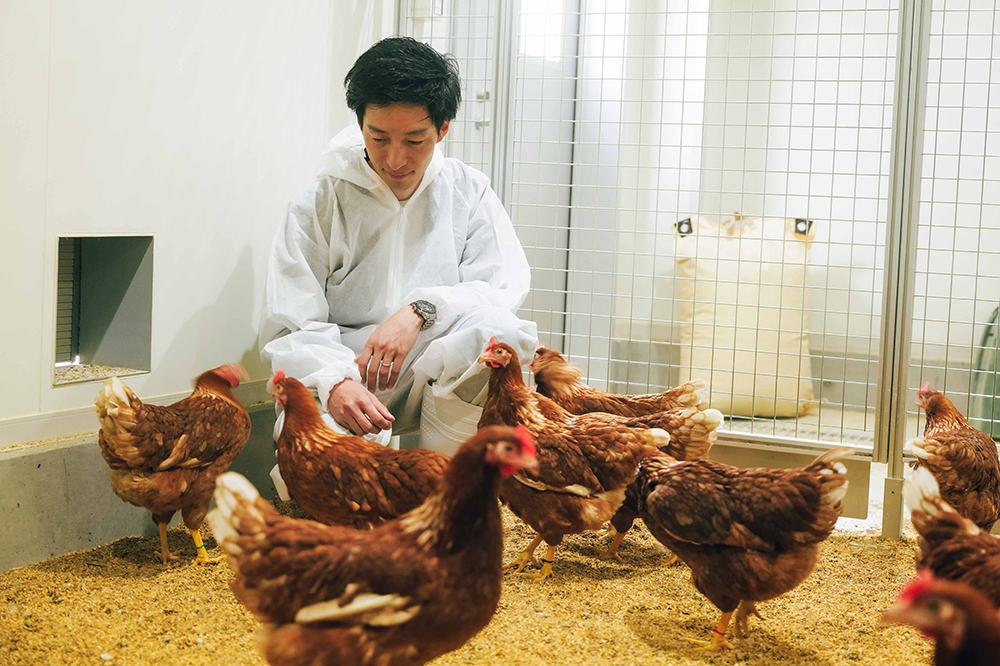 アニマルウェルフェアへの対話を始める場に。飼育現場を見せる“開かれた”鶏舎「Unshelled」